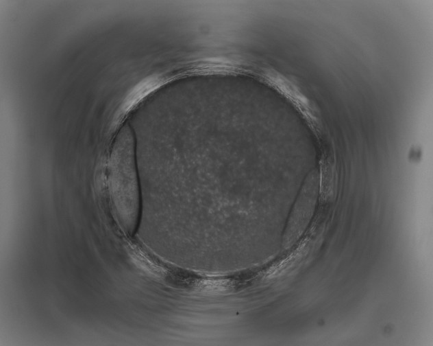 X0000096161453200801181214