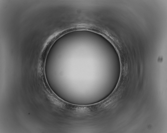 X0000096161454200801181214