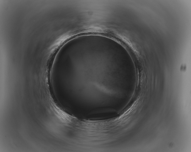 X0000096161455200801181214