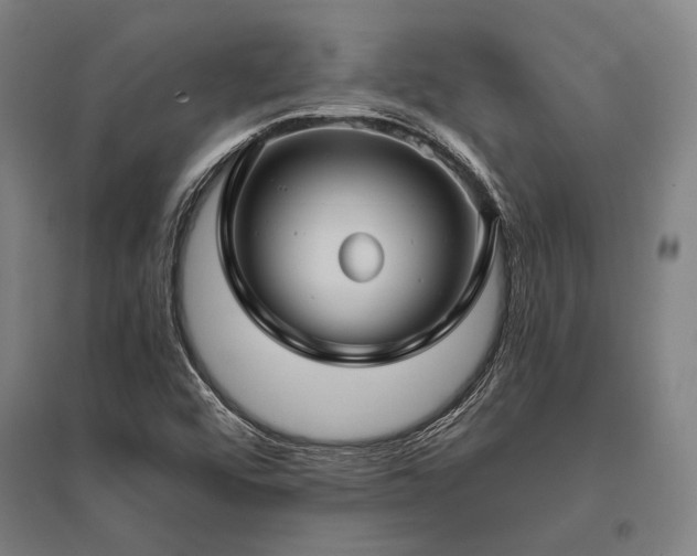 X0000096161456200801181214