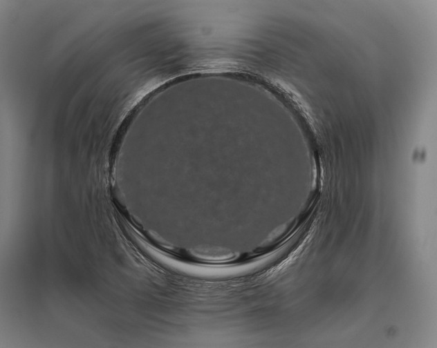 X0000096161457200801181214