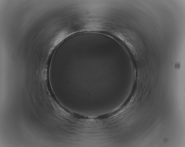 X0000096161459200801181214