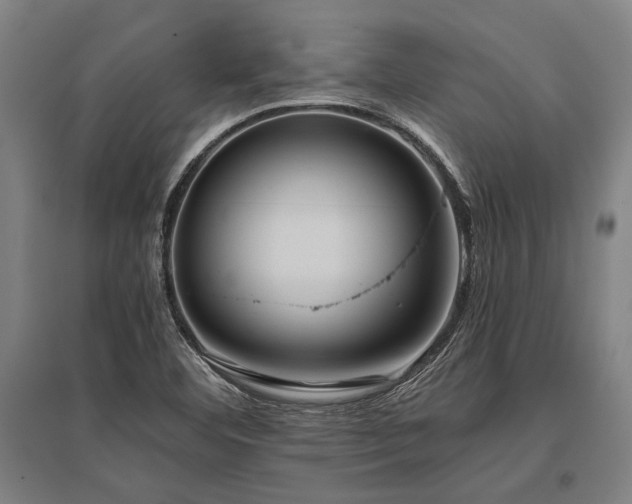 X0000096161460200801181214