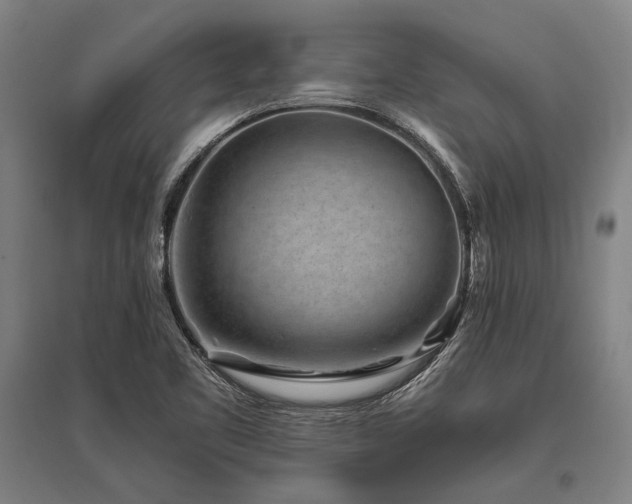 X0000096161461200801181214