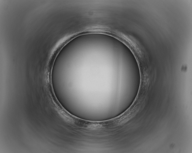 X0000096161462200801181214
