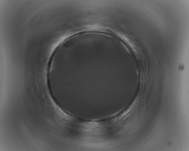 X0000096161463200801181214