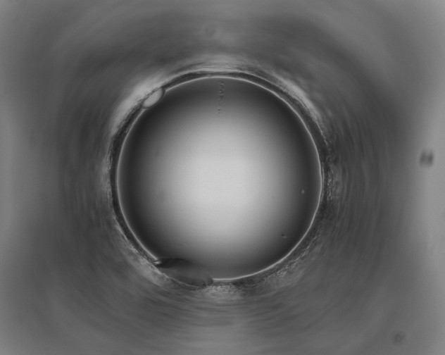 X0000096161464200801181214