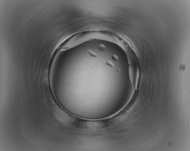 X0000096161465200801181214