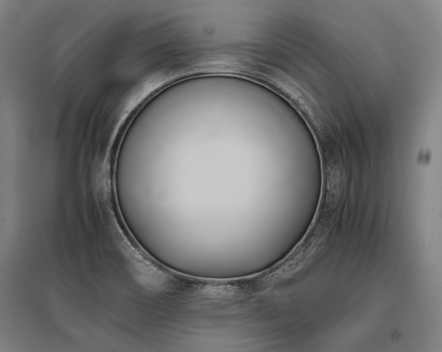 X0000096161466200801181214