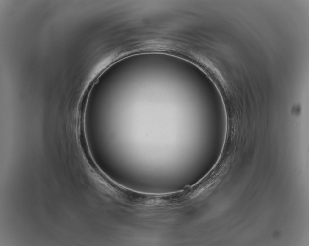 X0000096161467200801181214