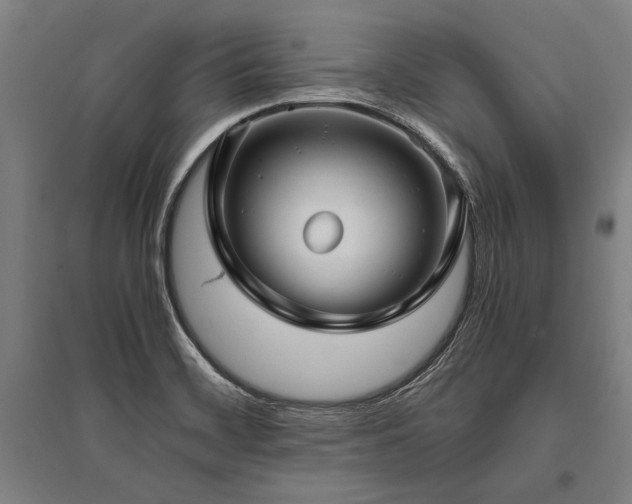 X0000096161468200801181214