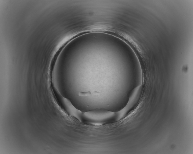 X0000096161469200801181214