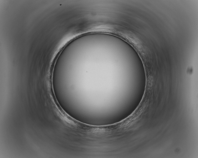 X0000096161470200801181214