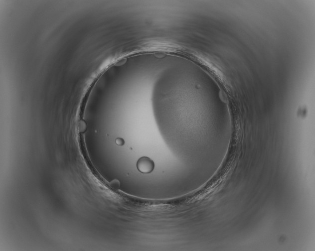 X0000096161471200801181214