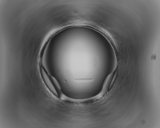 X0000096161472200801181214