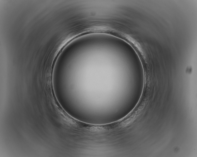 X0000096161473200801181214