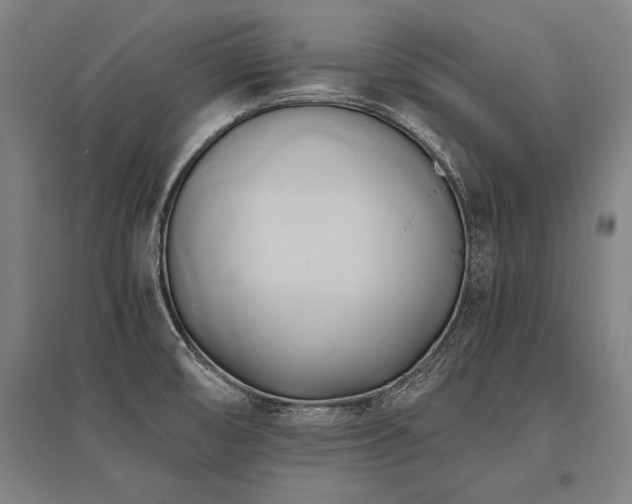 X0000096161474200801181214