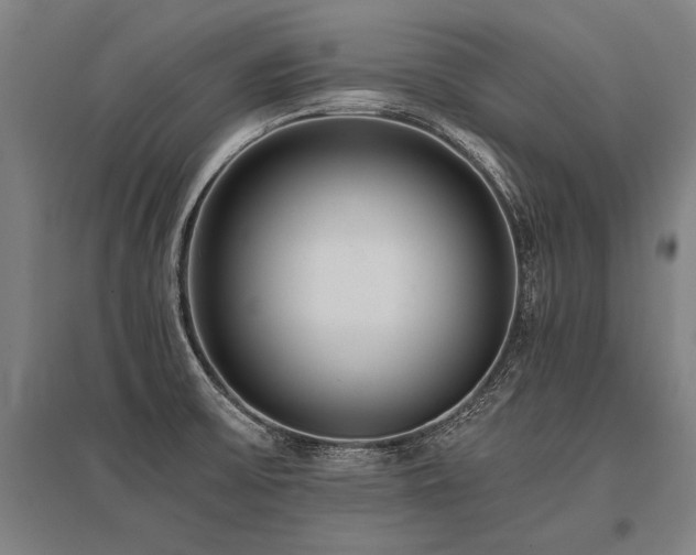 X0000096161475200801181214