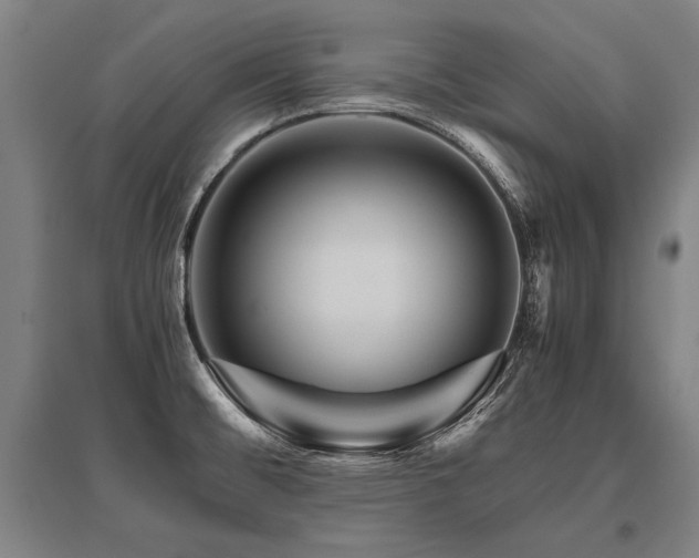 X0000096161476200801181214