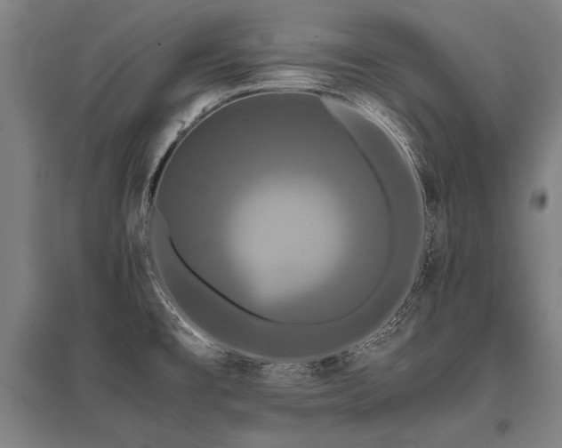 X0000096161477200801181214