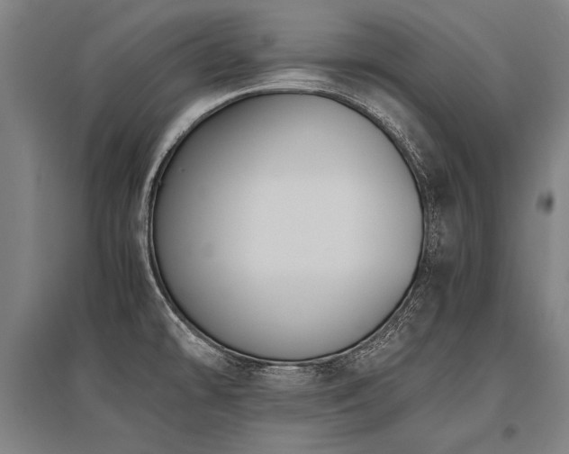 X0000096161478200801181214