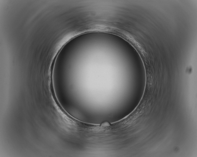 X0000096161479200801181214