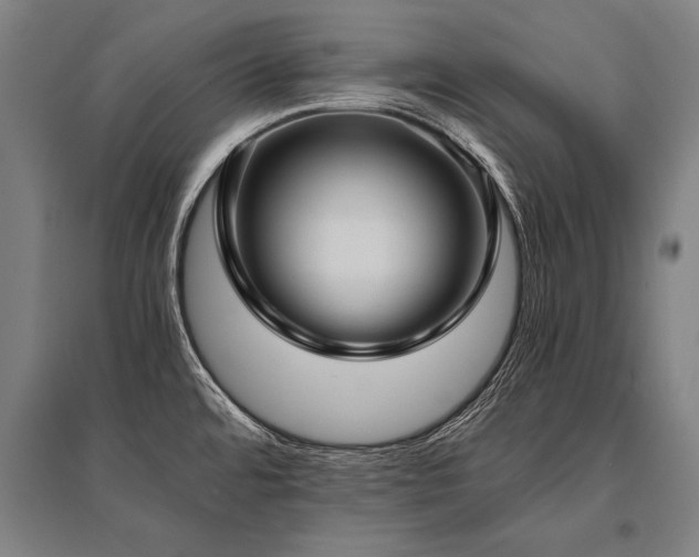 X0000096161480200801181214