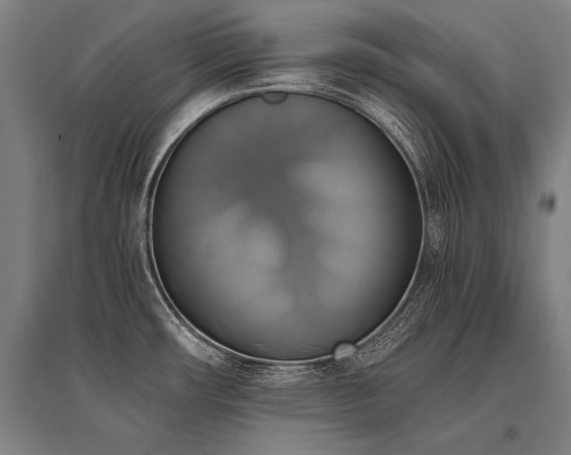 X0000096161482200801181214