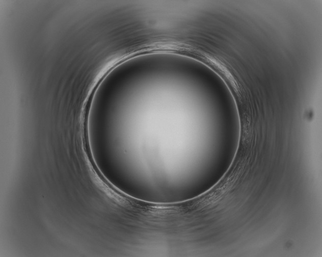 X0000096161483200801181214
