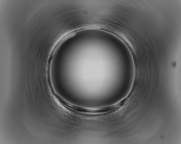 X0000096161484200801181214