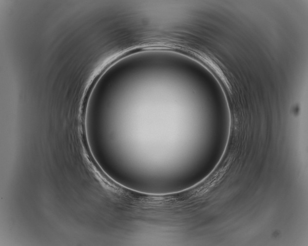 X0000096161485200801181214