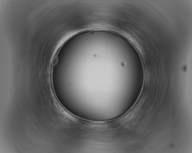 X0000096161486200801181214