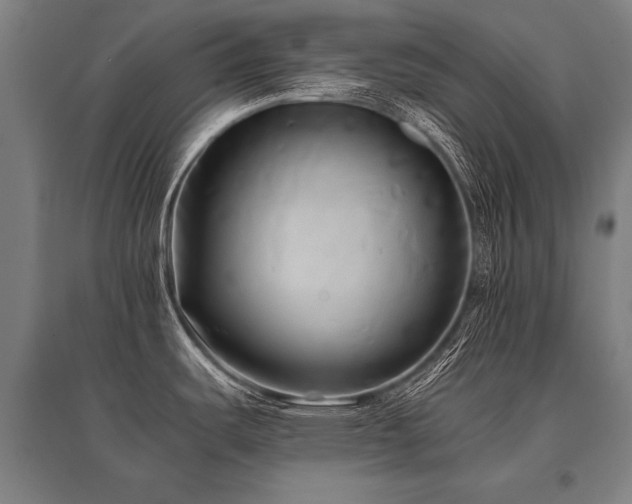 X0000096161487200801181214