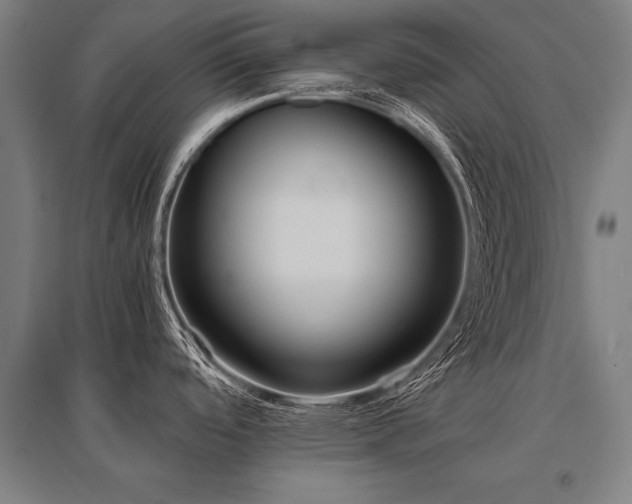 X0000096161488200801181214