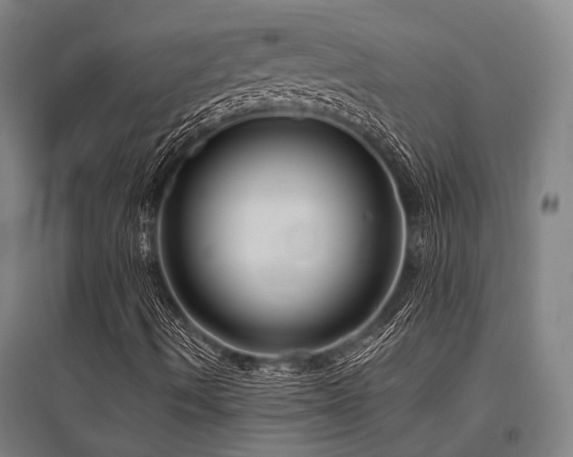X0000096161490200801181213
