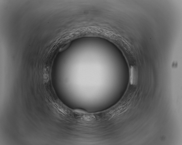 X0000096161491200801181213