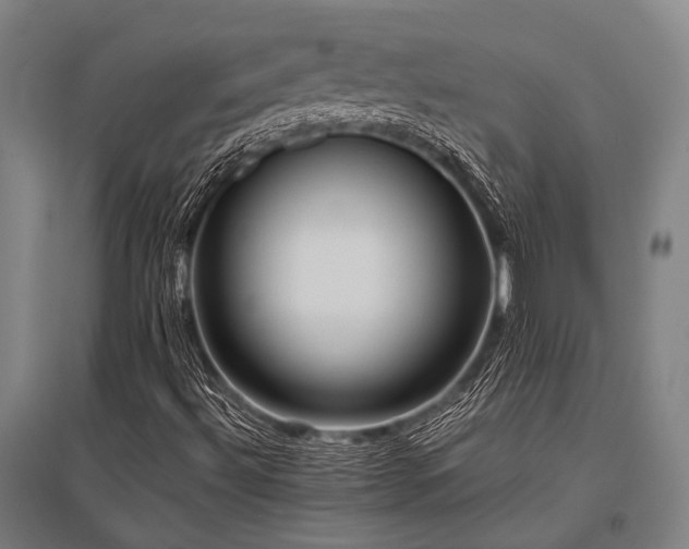 X0000096161492200801181213