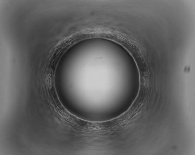 X0000096161493200801181213