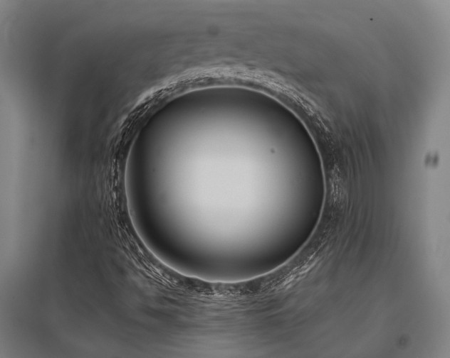 X0000096161494200801181213