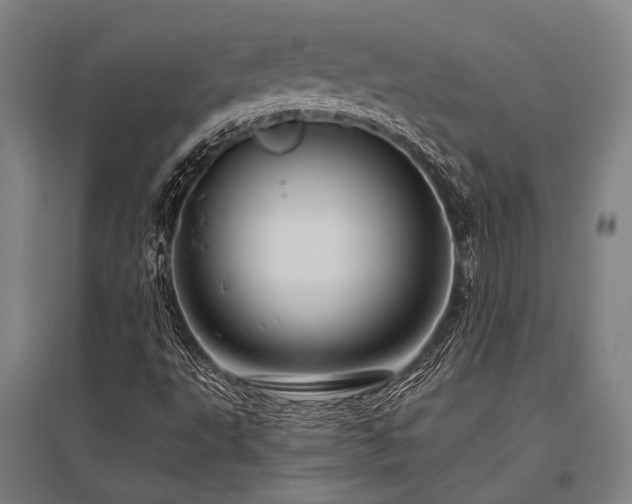 X0000096161495200801181213