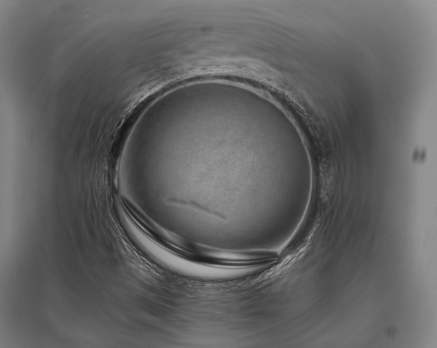 X0000096161497200801181213