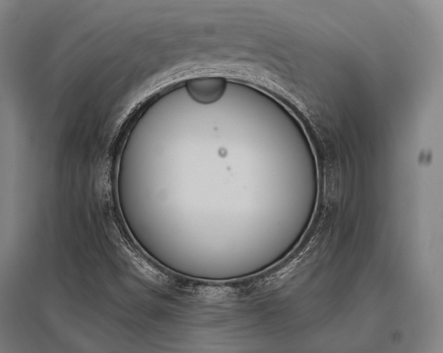 X0000096161498200801181213