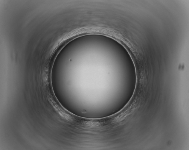 X0000096161499200801181213
