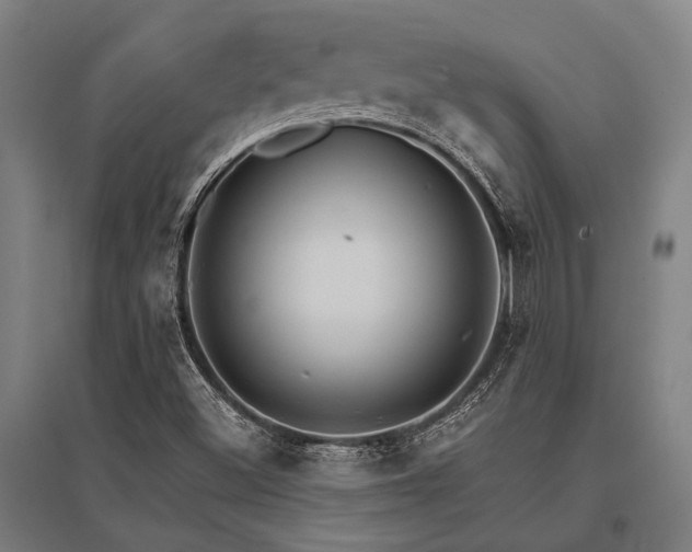 X0000096161500200801181213