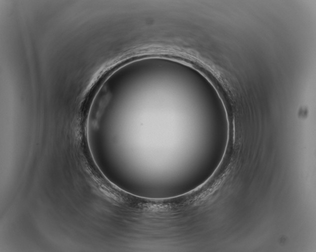 X0000096161501200801181213