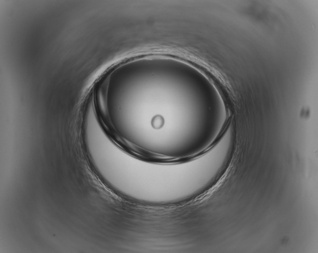 X0000096161502200801181213