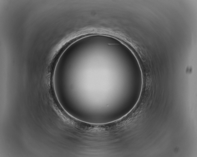 X0000096161503200801181213