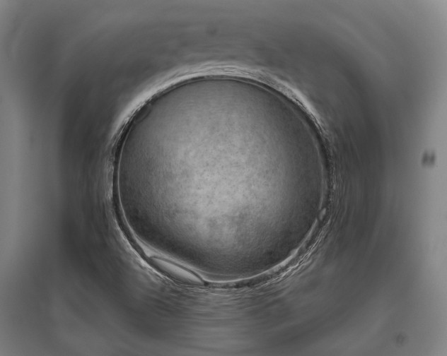 X0000096161504200801181213