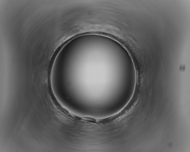 X0000096161505200801181213