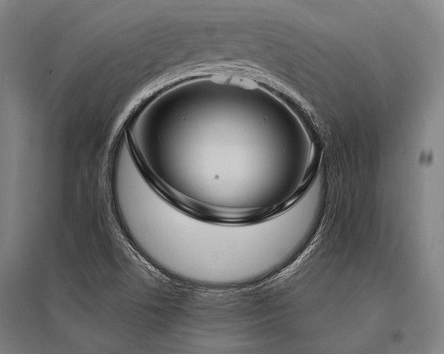 X0000096161506200801181213